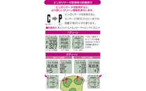 EAGLE&nbsp;VISION&nbsp;watch6&nbsp;BK