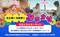 白浜エネルギーランド&nbsp;大人（高校生以上）＋小中学生ペア&nbsp;入館券
