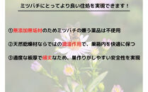 天然杉材を使った自分で組み立てるミツバチ巣箱（胴体部）