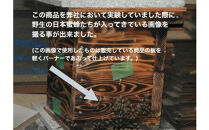 天然杉材を使った自分で組み立てるミツバチ巣箱（胴体部）