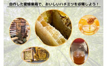 天然杉材を使った自分で組み立てるミツバチ巣箱（胴体部）