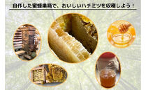 天然杉材を使った自分で組み立てるミツバチ巣箱（上下蓋部）