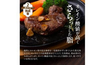 【黒毛和牛】&nbsp;おおいた和牛&nbsp;半生&nbsp;ビーフジャーキー&nbsp;200g&nbsp;(40g×5P)&nbsp;レア&nbsp;つまみ&nbsp;酒の肴_2392R-1