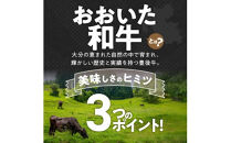 【黒毛和牛】&nbsp;おおいた和牛&nbsp;半生&nbsp;ビーフジャーキー&nbsp;400g&nbsp;(40g×10P)&nbsp;レア&nbsp;つまみ&nbsp;酒の肴_2392R-2