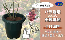 プロが教えるバラ栽培実技講座【2月：大苗の植付け・鉢植え替え・元肥】
