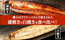 鹿児島県大隅産　千歳鰻の白焼4尾・蒲焼き4尾　合計8尾セット（1尾110g～130g）