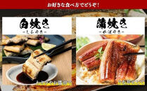 鹿児島県大隅産　千歳鰻の白焼4尾・蒲焼き4尾　合計8尾セット（1尾110g～130g）