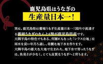 【定期便全3回】鹿児島県大隅産　千歳鰻の白焼1尾・蒲焼き1尾　（1尾110g～130g）