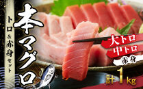 本マグロ&nbsp;トロ+赤身セット&nbsp;1kg&nbsp;|&nbsp;那智勝浦町&nbsp;海鮮&nbsp;魚介類&nbsp;本まぐろ&nbsp;本マグロ&nbsp;まぐろ&nbsp;マグロ&nbsp;鮪&nbsp;maguro&nbsp;トロ&nbsp;赤身&nbsp;刺身用&nbsp;セット&nbsp;人気&nbsp;おすすめ&nbsp;グルメ&nbsp;大トロ&nbsp;中トロ&nbsp;寿司&nbsp;国産まぐろ