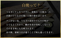 【定期便全3回】鹿児島県大隅産　千歳鰻の白焼5尾・蒲焼き5尾　（1尾110g～130g）
