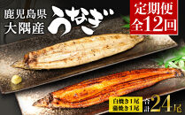 【定期便全12回】鹿児島県大隅産　千歳鰻の白焼1尾・蒲焼き1尾　（1尾110g～130g）