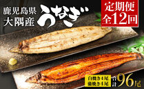 【定期便全12回】鹿児島県大隅産　千歳鰻の白焼4尾・蒲焼き4尾　（1尾110g～130g）