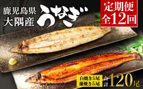 【定期便全12回】鹿児島県大隅産　千歳鰻の白焼5尾・蒲焼き5尾　（1尾110g～130g）
