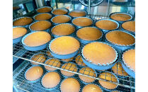 弓木銘菓カテリーナ10個入