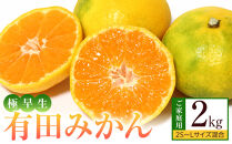 ［先行予約］ご家庭用&nbsp;極早生&nbsp;有田みかん&nbsp;約2kg&nbsp;2S～Lサイズ混合
