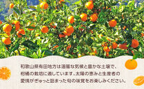 ［先行予約］ご家庭用&nbsp;極早生&nbsp;有田みかん&nbsp;約2kg&nbsp;2S～Lサイズ混合