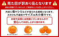 ［先行予約］ご家庭用&nbsp;有田みかん&nbsp;約2kg&nbsp;2S～Lサイズ&nbsp;混合