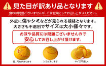 ［先行予約］ご家庭用 はっさく約4kg 大小サイズ 混合