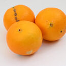 家庭用 ネーブルオレンジ 1kg+250g（傷み補償分）［光センサー選別］［柑橘・ジュース］［わけあり・訳あり］ ［IKE277］