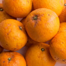 家庭用 甘夏柑 2.5kg+250g（傷み補償分）【初夏のみかん・旬の果物】【有田産】【光センサー食べ頃出荷】【わけあり・訳あり】 ［IKE280］