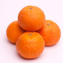 厳選 カラマンダリン 10kg+250g（傷み補償分）【南津海・なつみ】【希少な春柑橘】【みかんと同じように食べられます】 ［IKE281］