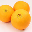 ［先行予約］厳選&nbsp;ネーブルオレンジ2.5kg+250g（傷み補償分）［光センサー選別］［柑橘・ジュース］［IKE37］