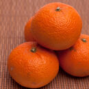 ［先行予約］厳選 津之輝5kg+250g（傷み補償分）［つのかがやき］［せとかに似た柑橘］［光センサー選果］［IKE54］