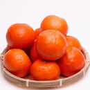 ［先行予約］厳選&nbsp;セミノールオレンジ2.5kg+250g（傷み補償分）［春みかん］［有田産］［光センサー食べ頃出荷］［IKE153］