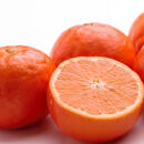 ［先行予約］厳選&nbsp;セミノールオレンジ2.5kg+250g（傷み補償分）［春みかん］［有田産］［光センサー食べ頃出荷］［IKE153］