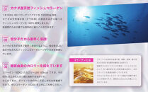 コラーゲン10000&nbsp;50mL×10本入り&nbsp;2セット