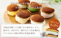 【1月発送】和・洋コラボのひんやりスイーツ！アイスなどら焼きギフト10個入り