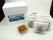 【1月発送】和・洋コラボのひんやりスイーツ！アイスなどら焼きギフト10個入り