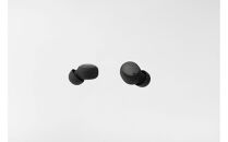 極小ワイヤレスイヤホン final ZE500 for ASMR 【DARK GRAY】 入眠 / リラックス / ラジオ / VR / バイノーラル / ASMR / 360オーディオ