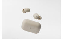 極小ワイヤレスイヤホン final ZE500 for ASMR 【CREAM】 入眠 / リラックス / ラジオ / VR / バイノーラル / ASMR / 360オーディオ