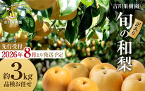 【先行予約（2026年発送分）】【訳あり】旬の和梨　約３kg【吉川果樹園】｜梨 ナシ こだわりの梨 フルーツ 果物 旬の梨 宮城県角田市 約3kg
