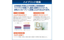 東芝【標準設置費込み】ハイブリッド乾燥搭載　12kgタテ型洗濯乾燥機　AW-12VP4(T)