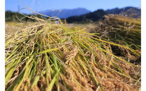 【令和7年産新米】5kg/南魚沼産コシヒカリ　うちやま農園のお米/発祥の地