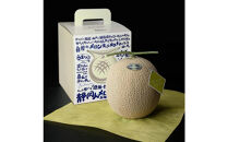 【限定企画商品】静岡人 × 山下メロンの最高級のマスクメロン 1玉 Ｌ玉1.6kg～1.7kg  静岡温室メロン「バカうまいメロン」「自慢のメロンを届けたい！！」　高級果実店に仕入れるほどの自信のあるメロン  ギフト  メロン めろん 箱詰め フルーツ 果物  産地直送 甘いメロン 糖度   青肉