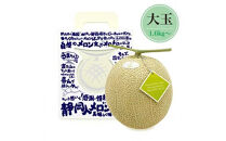 【限定企画商品】静岡人 × 山下メロンの最高級のマスクメロン 1玉 Ｌ玉1.6kg～1.7kg  静岡温室メロン「バカうまいメロン」「自慢のメロンを届けたい！！」　高級果実店に仕入れるほどの自信のあるメロン  ギフト  メロン めろん 箱詰め フルーツ 果物  産地直送 甘いメロン 糖度   青肉