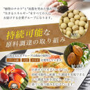 日清サラダ油8ｋｇＢＩＢ