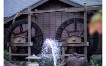 【令和７年産】精米「ミネアサヒ」5ｋｇ