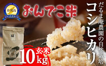 【令和7年産】だるま庵農園の自然栽培コシヒカリ玄米10キロ【2025年10月中旬より順次発送】
