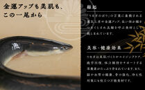 う玄武「う茶漬け」（2食分入り×4個）