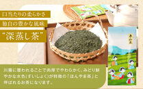 【茶娘の深むし茶】静岡市産本山茶深蒸し100g×12本&nbsp;合計1.2kg&nbsp;大容量&nbsp;無添加&nbsp;お茶&nbsp;家庭用&nbsp;ほんやま茶&nbsp;本山茶&nbsp;深むし茶&nbsp;深蒸し茶&nbsp;静岡茶&nbsp;茶葉&nbsp;日本茶&nbsp;緑茶&nbsp;煎茶&nbsp;国産茶&nbsp;静岡県産&nbsp;茶娘&nbsp;お徳用&nbsp;大容量&nbsp;家庭用&nbsp;普段飲み&nbsp;毎日のお茶&nbsp;お取り寄せ&nbsp;みる芽&nbsp;若芽仕立て&nbsp;人気&nbsp;おすすめ