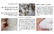 オーガニック綿入りガーゼキルトケット　シングル　（生成）