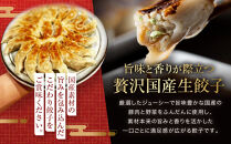 名塩生餃子製作所の特選冷凍生餃子