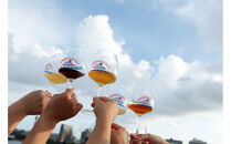 【9月13日(土)&nbsp;お昼の回】ジャパン・ビアフェスティバル横浜2025&nbsp;前売券&nbsp;(1名分)