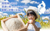 令和7年産　近江米コシヒカリ（白米）5kg