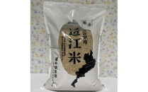 令和7年産　近江米コシヒカリ（玄米）5kg