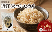 令和7年産　近江米コシヒカリ（玄米）5kg